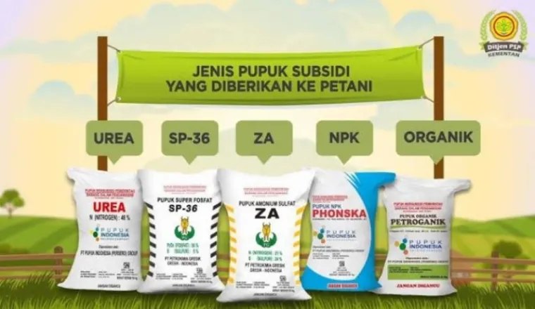 Ilustrasi jenis-jenis pupuk (Dok. Kementan)