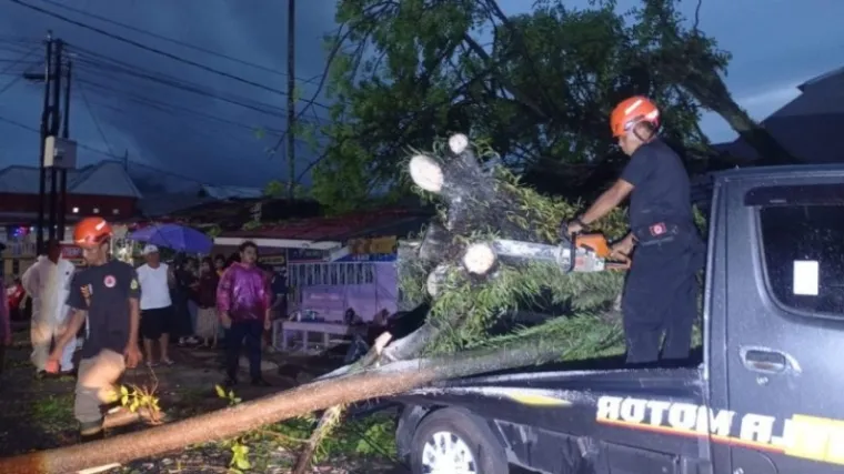 Petugas saat mengevakuasi pohon yang menimpa mobil (Dok. BPBD Padang)