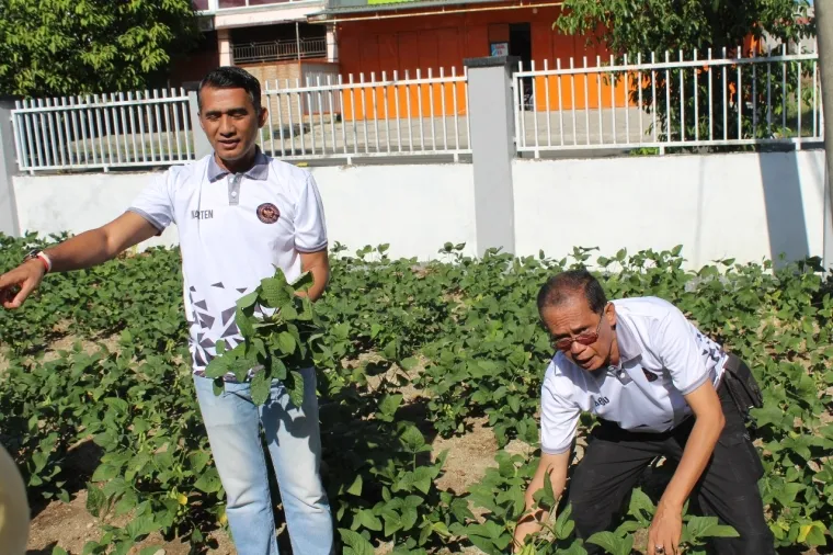 Ka Lapas Parepare Marten Ikut Memanen Kacang Edaname (*)