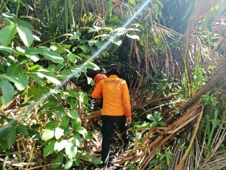 Personil Basarnas mencari Gabui Sarereakek (73), warga yang hilang sejak 19 Oktober 2025. (Dok. Basarnas Mentawai)
