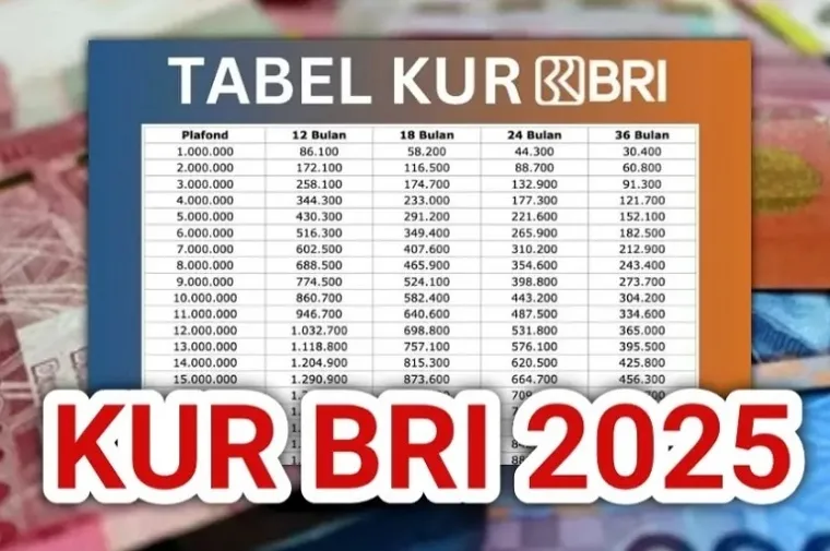 KUR BRI 2025: Bunga 6%, Cair Cepat! (Foto: Ist)