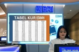 KUR BRI 2025 Pinjaman Kedua: Bunga 7%, Cair Cepat! (Foto: Ist)