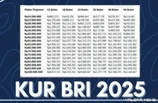 KUR BRI 2025: Solusi Modal Usaha hingga Rp100 Juta, Simulasi Cicilan Lengkap (Foto: Ist)