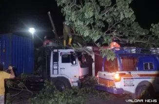 Petugas saat membersihkan pohon tumbang yang menimpa truk. (Dok. BPBD Padang)