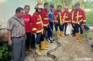 Petugas Damkar Padang saat mengevakuasi ular di rumah warga. (Dok. Damkar Padang)