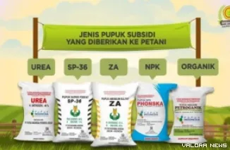 Ilustrasi jenis-jenis pupuk (Dok. Kementan)