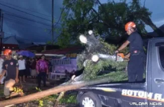 Petugas saat mengevakuasi pohon yang menimpa mobil (Dok. BPBD Padang)