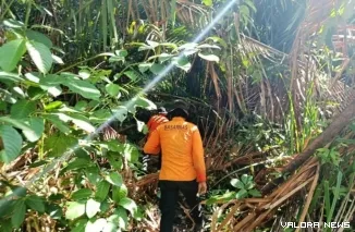 Personil Basarnas mencari Gabui Sarereakek (73), warga yang hilang sejak 19 Oktober 2025. (Dok. Basarnas Mentawai)