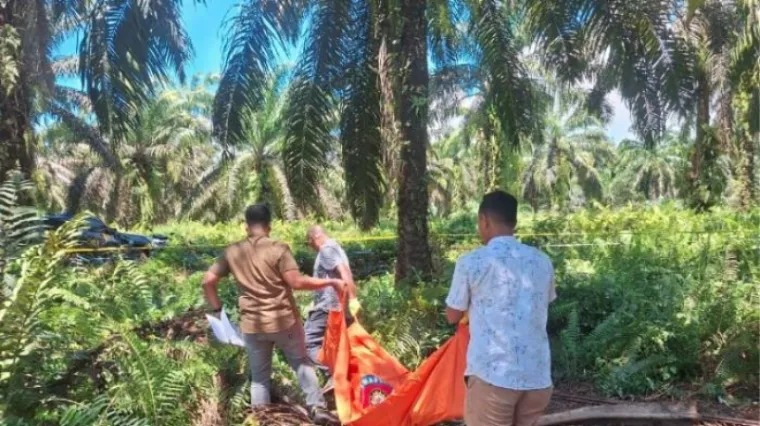 Personil polisi saat mengevakuasi mayat tanpa identitas yang ditemukan warga di kebun sawit. (Dok. Polres Pasaman Barat)