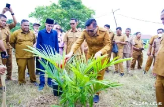 Bupati Muba, HM Toha Tohet menanam bibit sawit di lahan yang jadi asset Pemkab, di kawasan aset Pemkab Muba di belakang Politeknik Sekayu, Selasa. (toyipa)