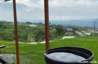 Sejarah kawa daun minuman tradisional Minangkabau Sumatera Barat dan filosofi kawa daun yang disajikan dengan tempurung kelapa. (Dok. Ist)