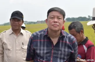 Wakil Ketua Komisi IV DPR RI, Alex Indra Lukman. (humas)