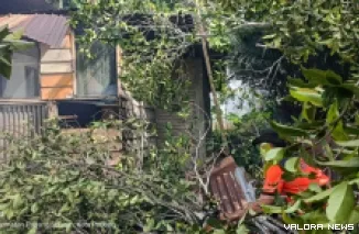 Pohon tumbang timpa dapur warga di Padang Selatan. (Dok. Humas BPBD Padang)