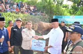 Gubernur Sumbar, Mahyeldi serahkan secara simbolis bantuan sapi dari Wapres di Masjid Infaqiyah, Jorong Bandar Rait, Kenagarian Baruah Gunuang, Kecamatan Bukit Barisan, Kabupaten Limapuluh Kota, Kamis. (humas)