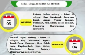 Infografis.