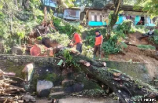 Personel BPBD Padang membersihkan pohon tumbang akibat hujan lebat di Bukit Air Manis RT 03 RW 02, Kelurahan Teluk Bayur, Senin siang. (humas)
