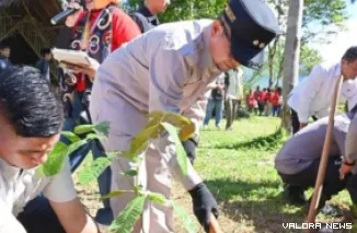 Wawako Bukittinggi, Ibnu Azis menanam bibit pohon di kawasan Tabiang Barasok sebagai bagian dari rangkaian kegiatan IMLF ke-4, Kamis. Bibit pohon ini merupakan bantuan dari Kapolda Sumbar. (hamriadi)