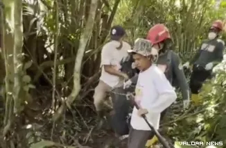 Tim BKSDA melakukan evakuasi terhadap anak beruang madu yang terjerat