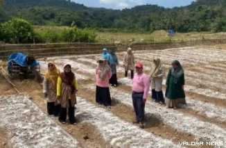 Kepala DKP3 Sawahlunto, Heni Purwaningsih beserta jajaran, melakukan monitoring terhadap demplot Gerak Lekas tanggal 9 Juli 2026. (hendra idris)
