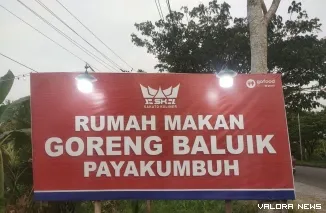 Rumah Makan Goreng Baluik Payakumbuh