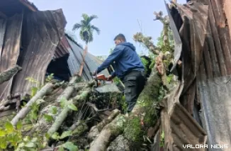 Personil BPBD saat melakukan evakuasi dan pembersihan pohon tumbang.