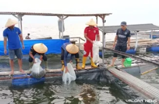 Pelepasan Bibit Ikan Nila ke Dalam Keramba di Rutan Kelas IIB Maninjau, Minggu (6/9/2026)
