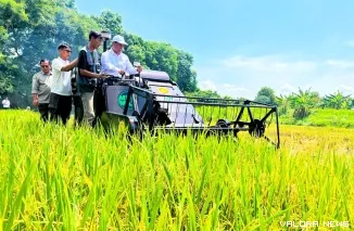Produksi padi nasional mencapai 43,89 juta ton gabah kering giling (GKG) sepanjang Januari-Agustus 2026 atau naik 0,07 persen dibandingkan periode yang sama tahun sebelumnya.