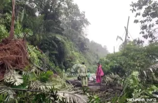 Longsor dan Pohon Tumbang Hambat Arus Jalan Sumbar--Riau di Pangkalan