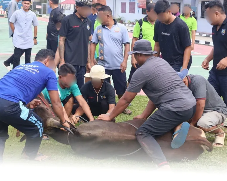 Pelaksanaan Penyembelihan Hewan Kurban di Lapas Narkotika Tanjung Pinang, Rabu (27/5/2026)