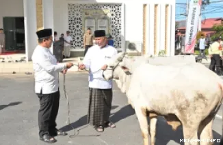 Gubernur Sumbar, Mahyeldi serahkan sapi kurban pada Ketua Pengurus Masjid Baitul Auliya kantor gubernur, Ahmad Zakri usai pelaksanaan shala Idul Adha 1447 H/2026 M, Rabu. (humas)