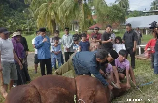 Wakil Wali Kota Padang Maigus Nasir Menyampaikan Penyembelihan Hewan Kurban Bantuan President, Kamis (28/5/2026)