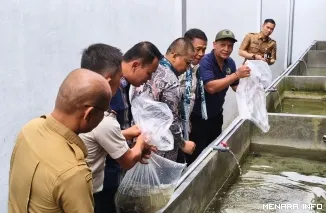 Penebaran Bibit Lele di Rutan Padang Panjang, Senin (4/5/2026)