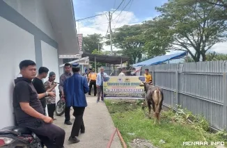 Penyerahan Sapi Kurban Kepada Warga Huntap di Lubuk Buaya (")