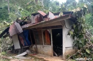 Pohon Tarok timpa rumah milik Syafrizal (50), seorang buruh harian lepas di RT 02 RW 01, Kelurahan Bukit Gado-Gado, Kecamatan Padang Selatan, Rabu malam. (humas)