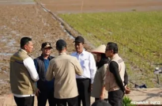 Menteri Pertanian, Andi Amran Sulaiman meninjau pengerjaan rehabilitasi lahan di Lubuk Alung, Padang Pariaman, Sumatera Barat, beberapa waktu lalu. (humas)