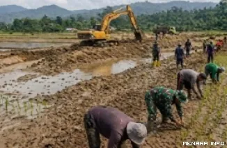 Pemulihan sawah terdampak bencana di Aceh Utara, Aceh. (humas)