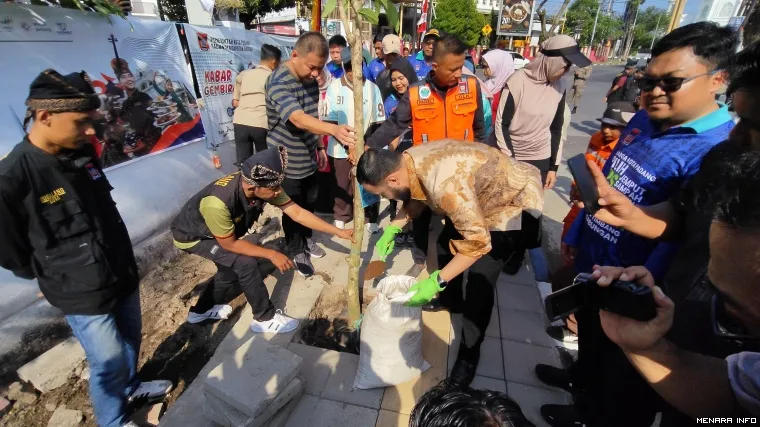 Wali Kota Padang Fadly Amran Melakukan Penanaman Pohon Tabebuya
