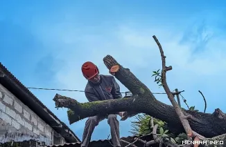 Petugas BPBD Padang Sedang Berupaya Mengevakuasi Pohon Tumbang yang Menimpa Rumah Warga (*)