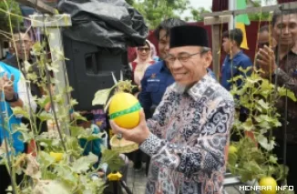 Wakil Wali Kota Padang Maigus Nasir Memetik Buah Melon Hasil Budidaya Kube Mego.id (*)