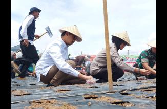 Kendalikan Inflasi, Pemko Canangkan Gerakan Menanam Bawang Merah