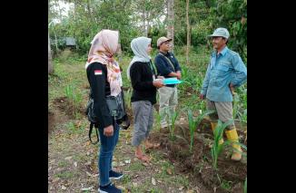 Panwascam Sungayang Awasi Proses Verfak Calon Anggota DPD RI