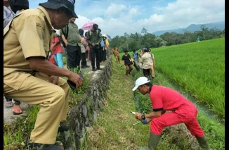 Tingkatkan Produksi Padi, Petani Nagari Sungayang Tanah Datar Kendalikan Hama Tikus