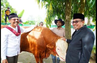Bupati Eka Putra Kurban Satu Ekor Sapi di Masjid Muhamadiyah Batusangkar