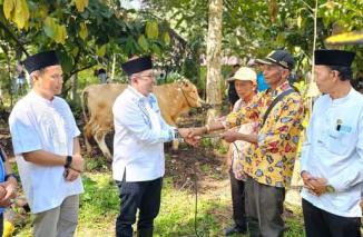 Anggota BPK RI Nyoman Adhi Serahkan Sapi Kurban Bagi Warga Jorong Panti