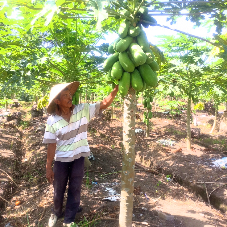 Ali Basyar: Kunci Keberhasilan Adalah Kerja Keras
