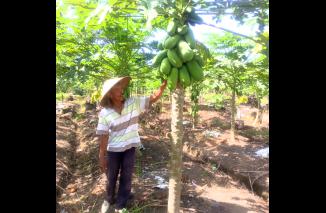 Ali Basyar: Kunci Keberhasilan Adalah Kerja Keras