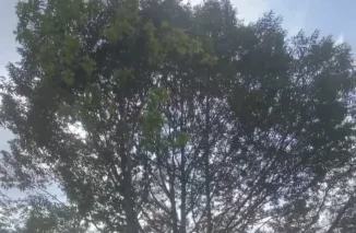 Bukittinggi Miliki Destinasi Wisata Tabiang Barasok