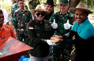 Petani Milenial Panen Jagung di Tanah Datar