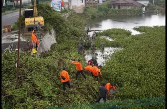 Potensi Wisata Air Tanah Datar, Enceng Gondok di Talago Koto Baru Dibersihkan