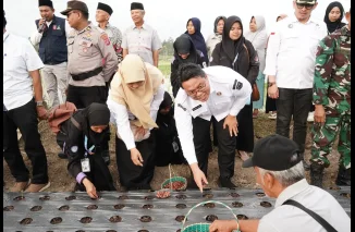 Wabup Ahmad Fadly Ikut Menanam, Nagari Cubadak Siap Jadi Sentra Bawang Merah